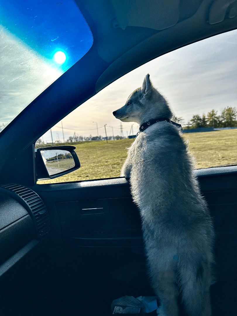 carousel-image-mobile-2