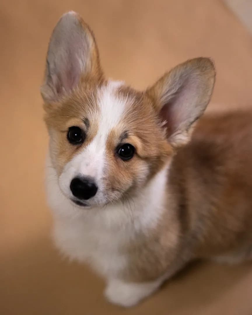 carousel-image-mobile-1