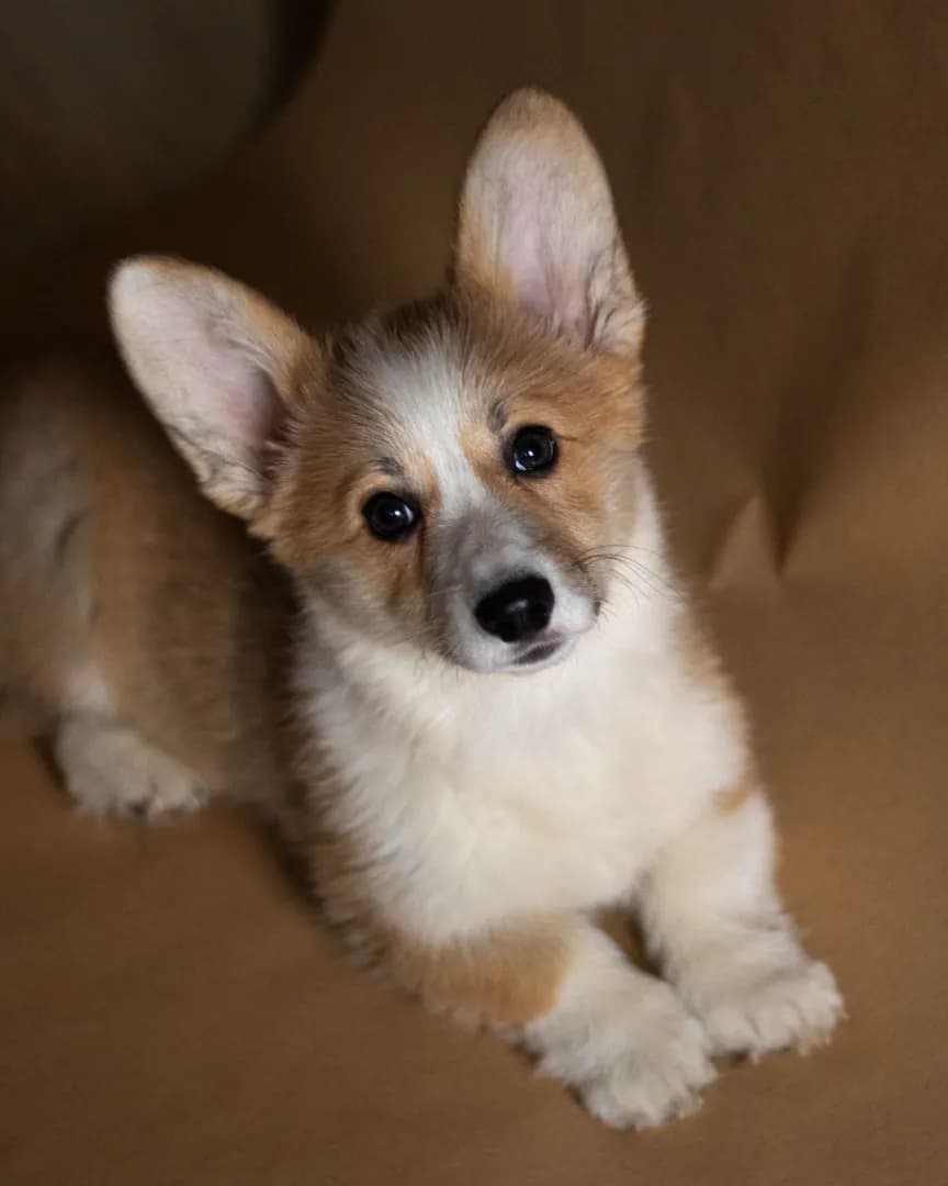 carousel-image-mobile-2