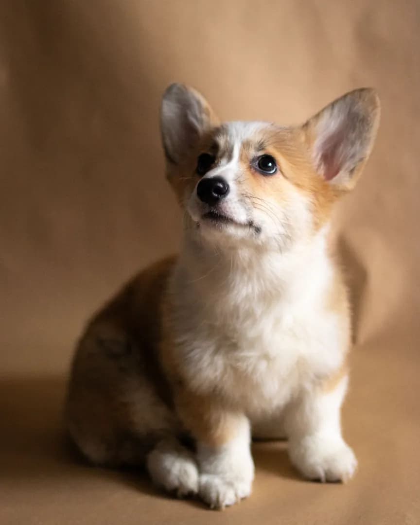 carousel-image-mobile-3