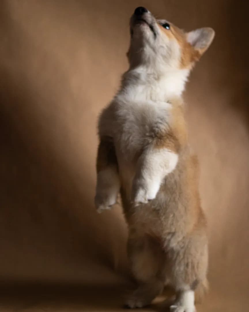 carousel-image-mobile-4