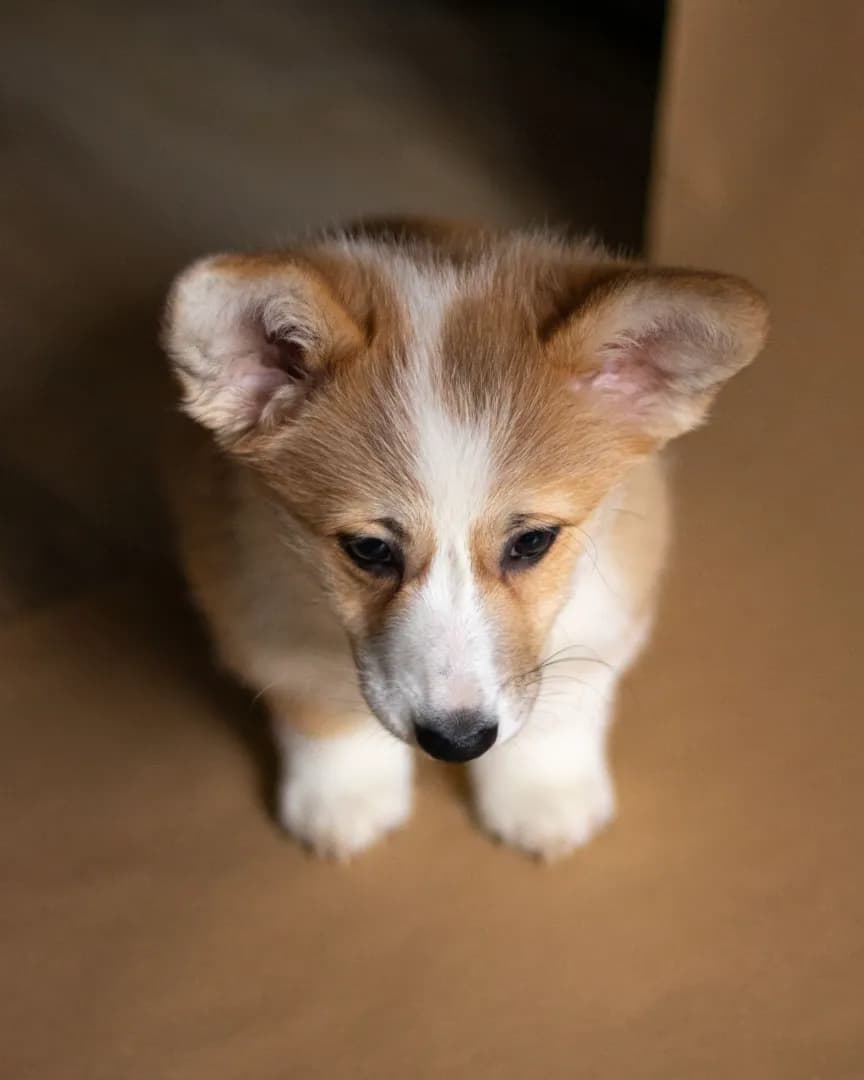 carousel-image-mobile-5