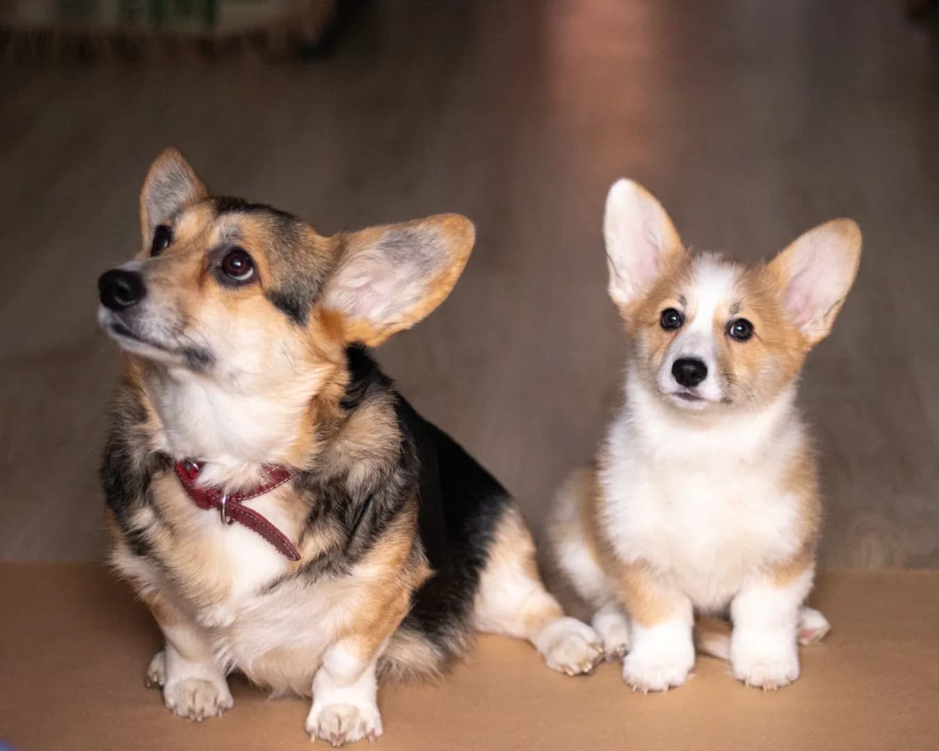 carousel-image-mobile-6