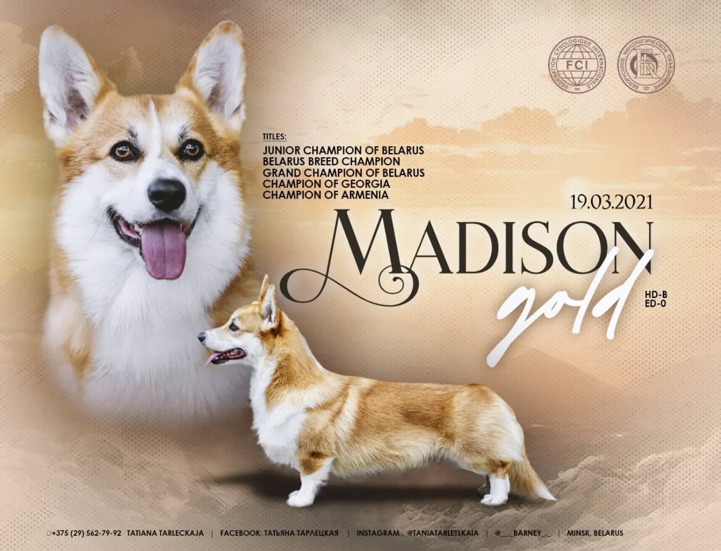 carousel-image-mobile-7