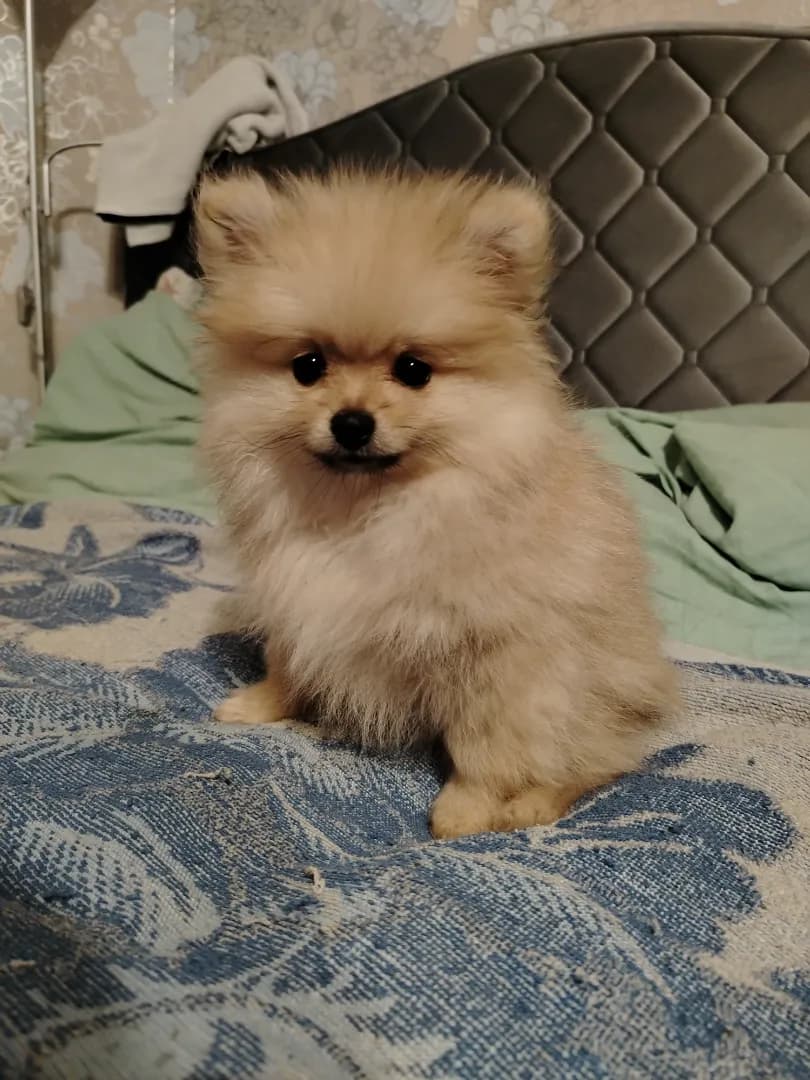 carousel-image-mobile-1