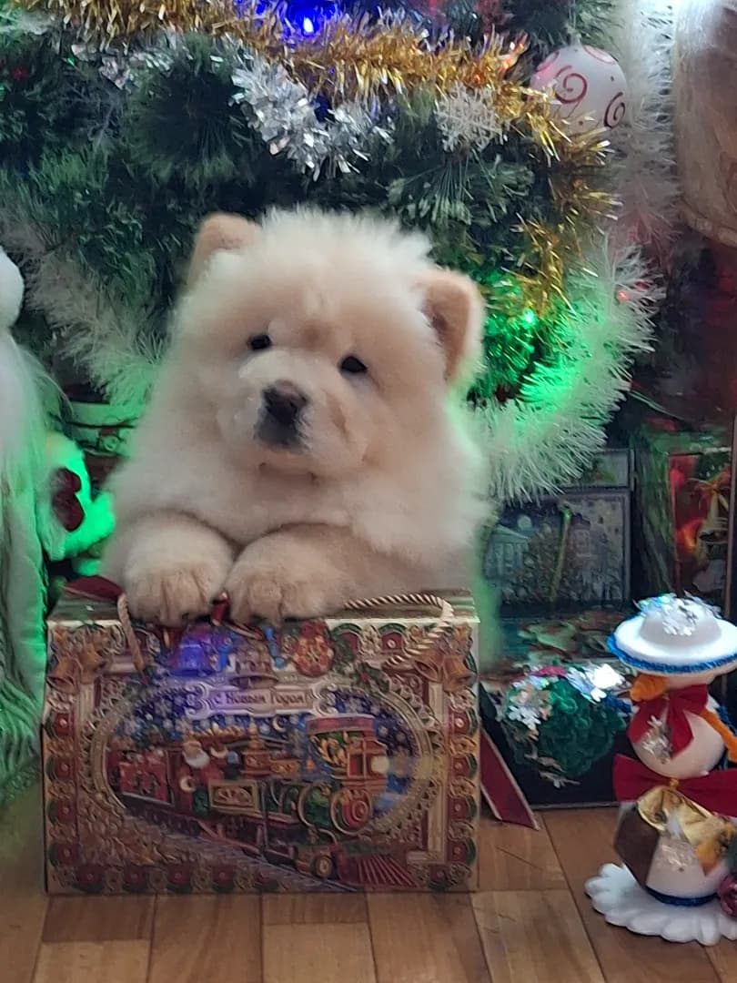 carousel-image-mobile-2