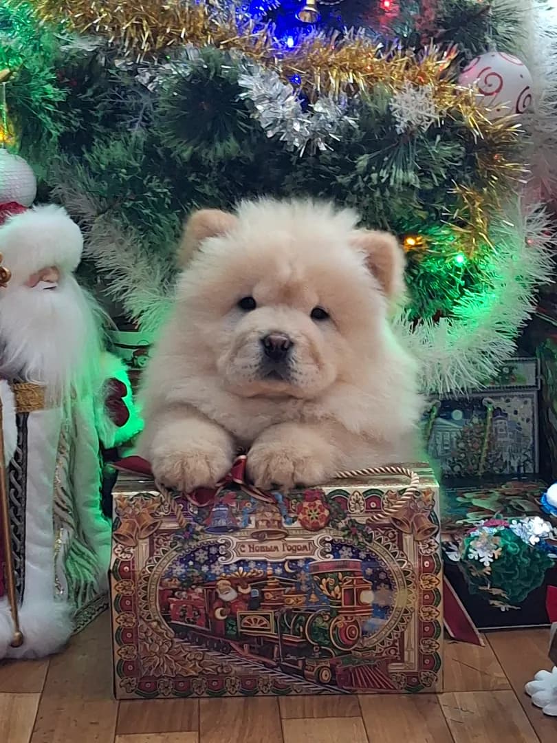 carousel-image-mobile-3