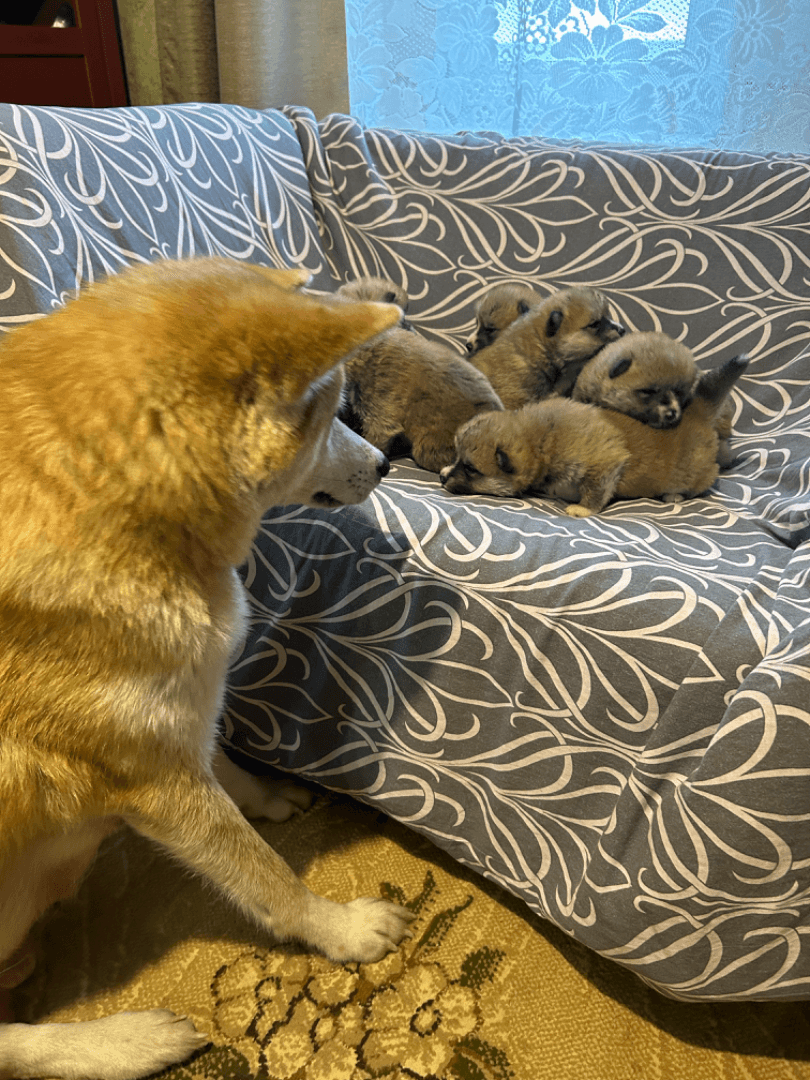 carousel-image-mobile-3