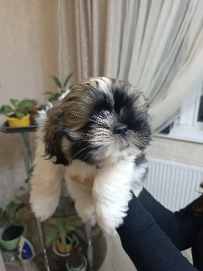 carousel-image-mobile-5