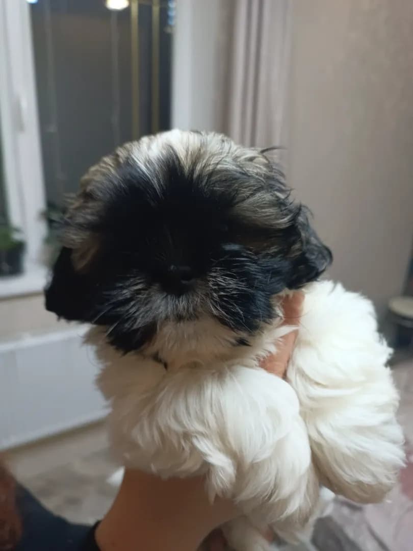 carousel-image-mobile-7