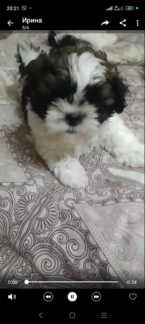 carousel-image-mobile-8