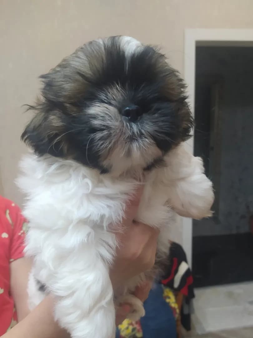 carousel-image-mobile-1