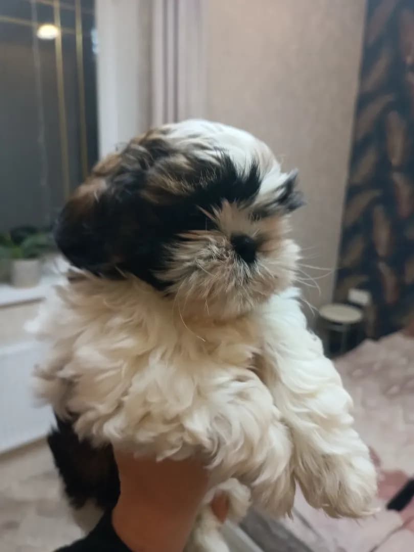 carousel-image-mobile-3