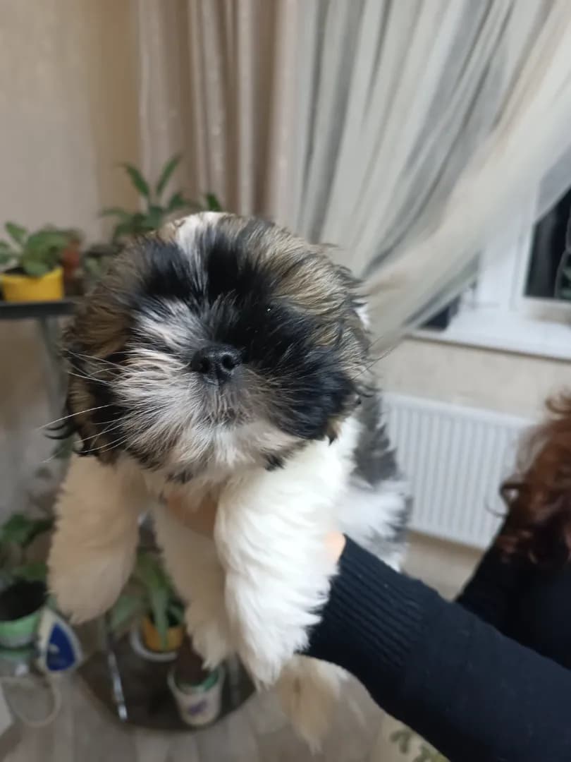 carousel-image-mobile-7