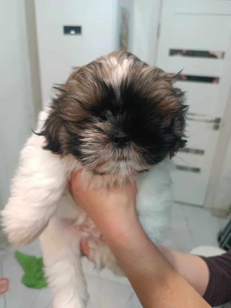 carousel-image-mobile-1