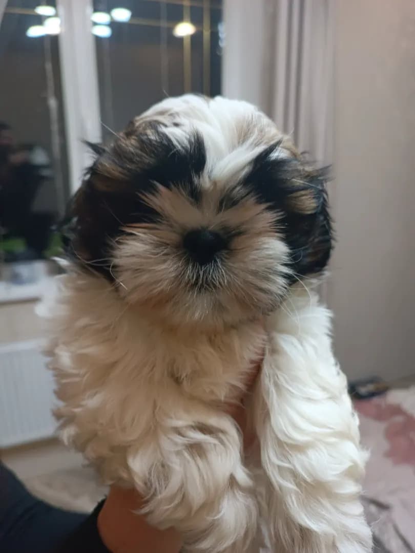 carousel-image-mobile-3