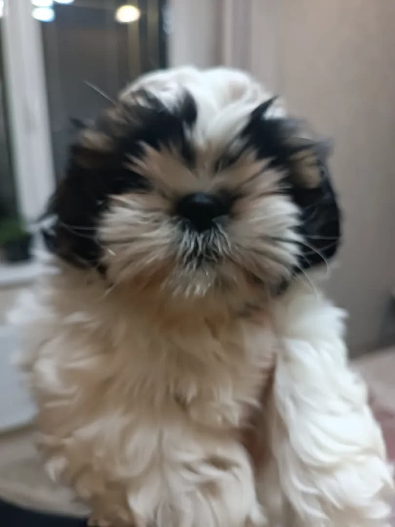 carousel-image-mobile-4