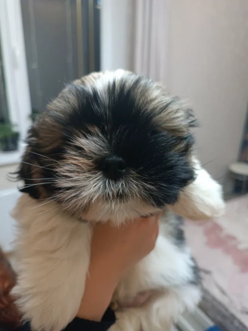 carousel-image-mobile-5