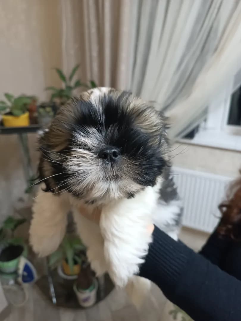 carousel-image-mobile-6