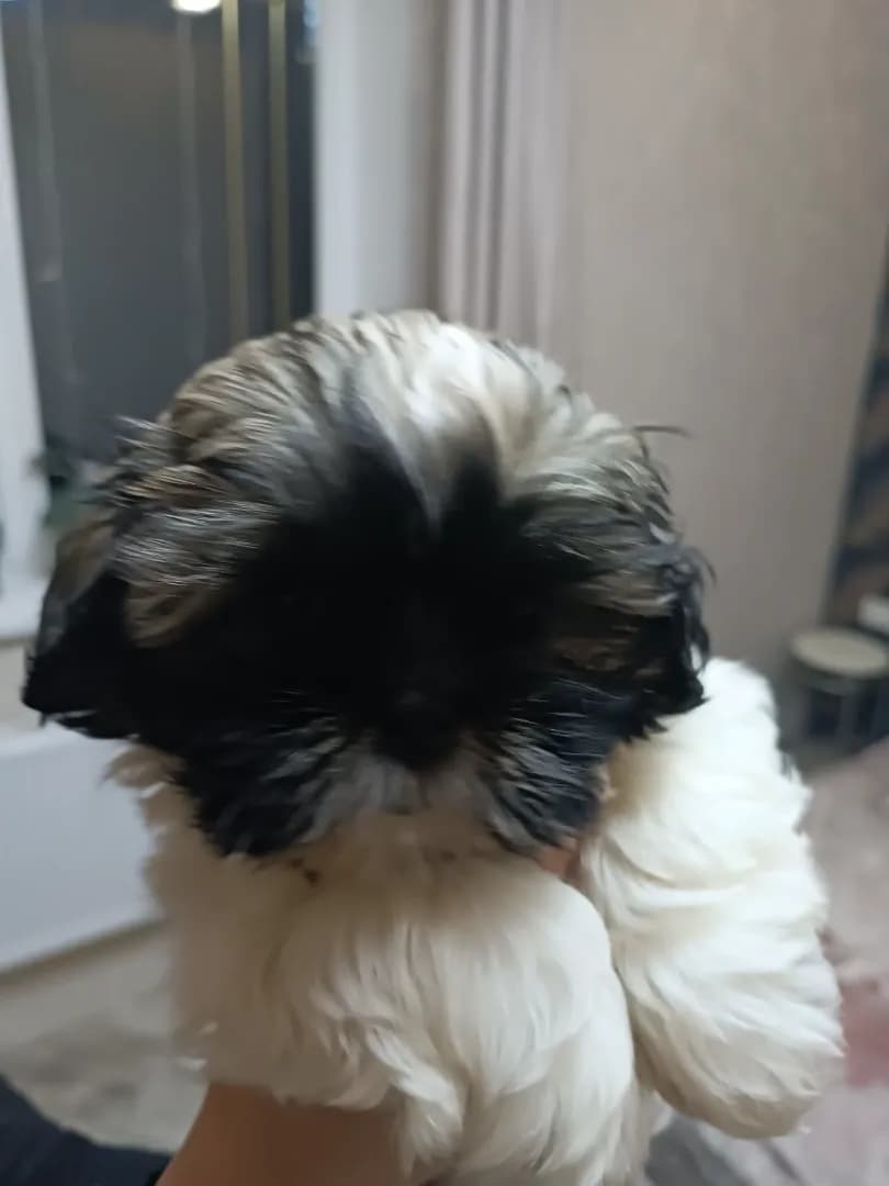 carousel-image-mobile-7