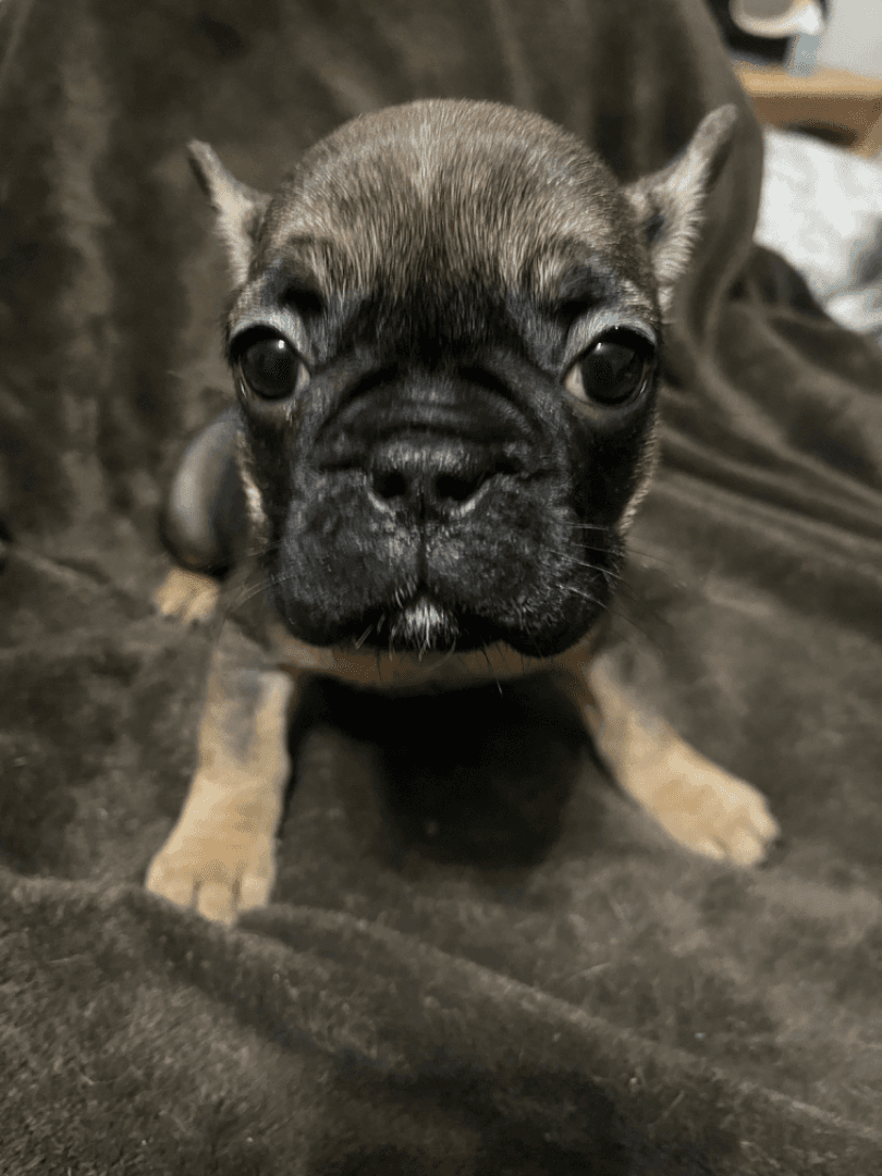 carousel-image-mobile-3