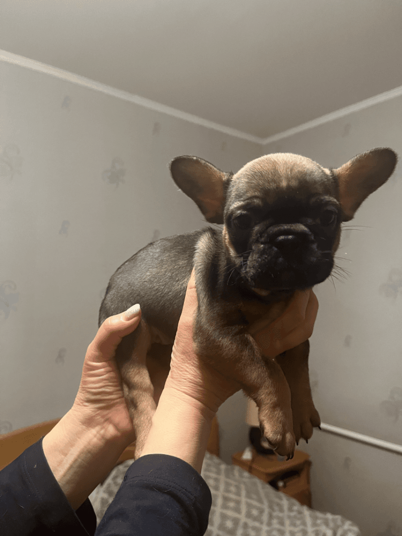 carousel-image-mobile-4