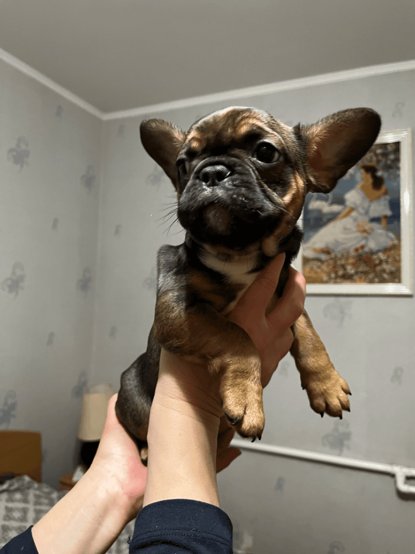 carousel-image-mobile-5