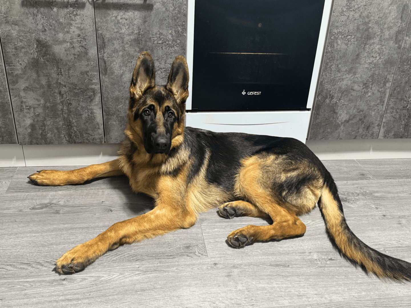 carousel-image-mobile-1