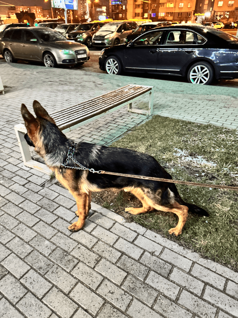 carousel-image-mobile-2