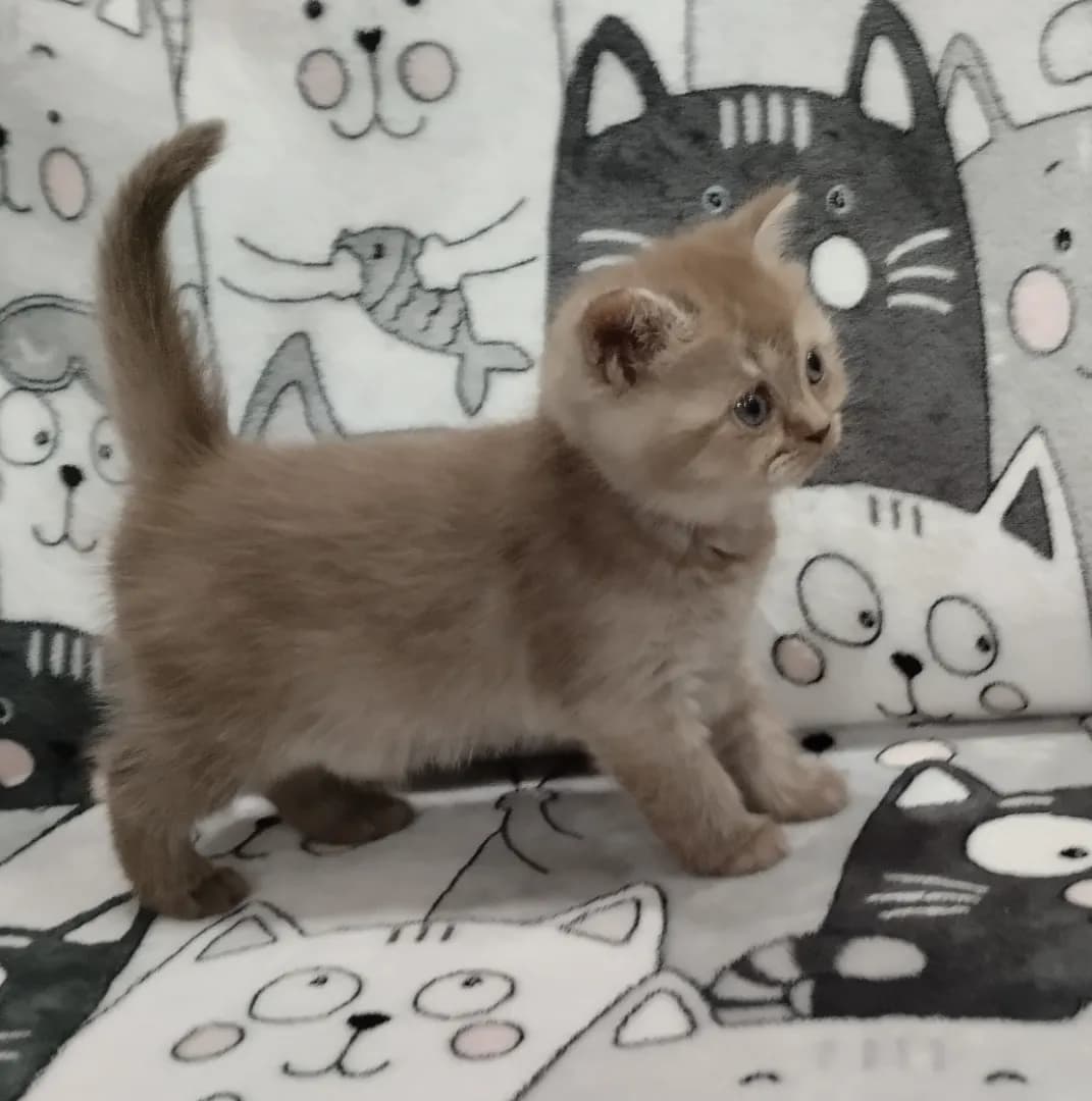 carousel-image-mobile-3