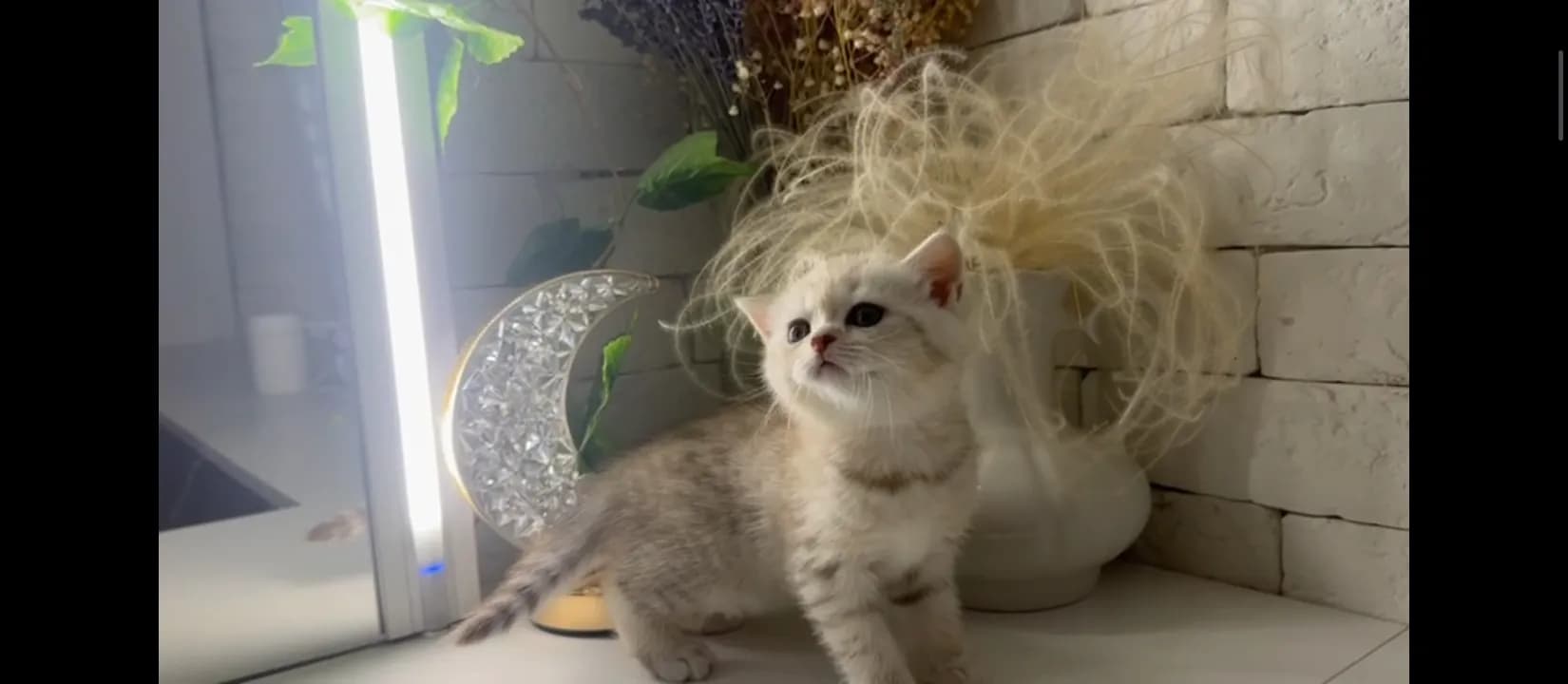 carousel-image-mobile-4