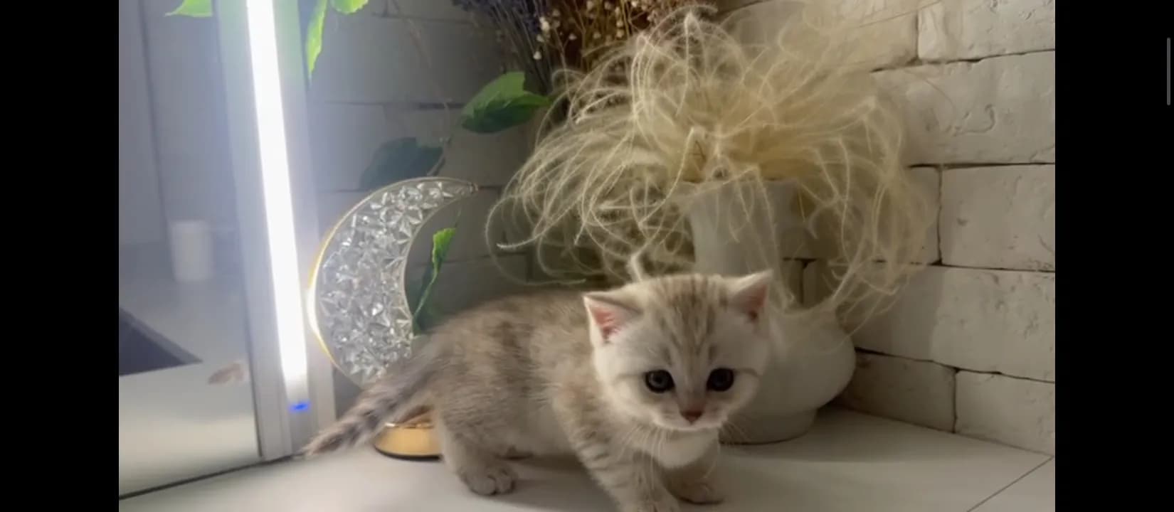 carousel-image-mobile-5