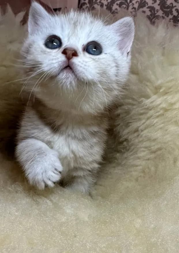 carousel-image-mobile-6