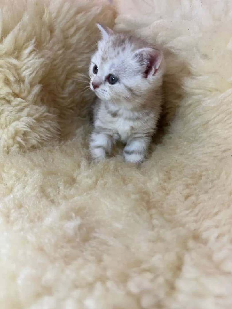 carousel-image-mobile-7