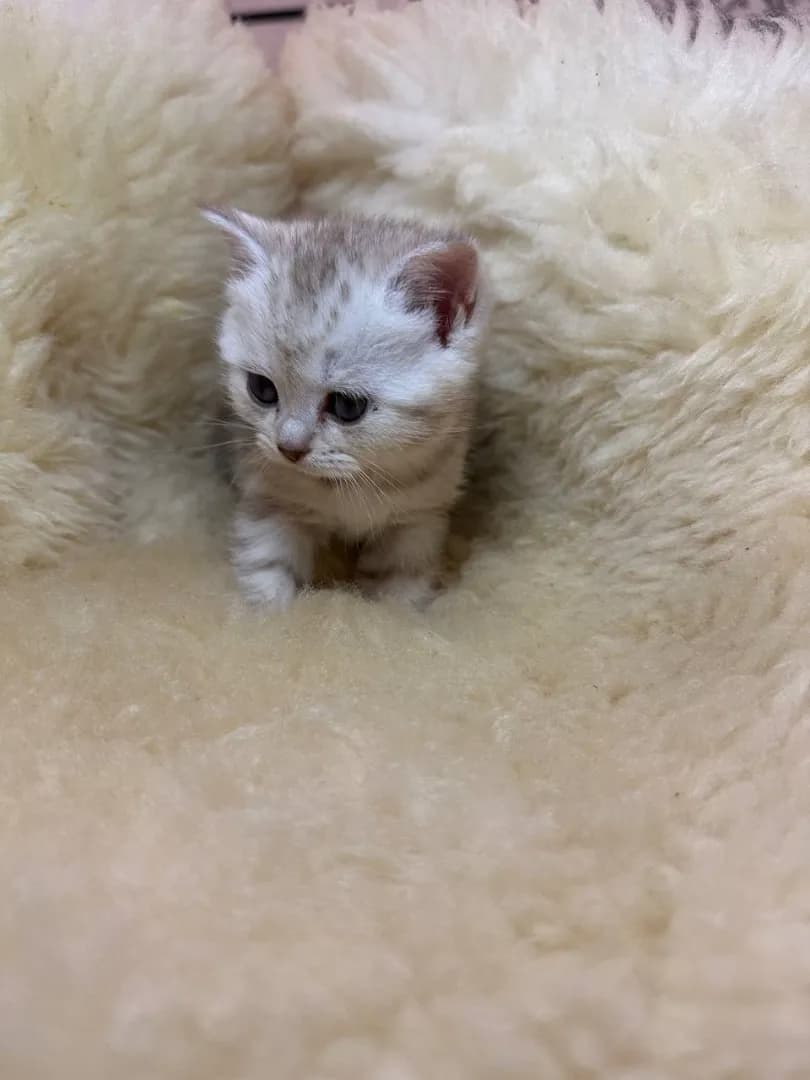 carousel-image-mobile-8