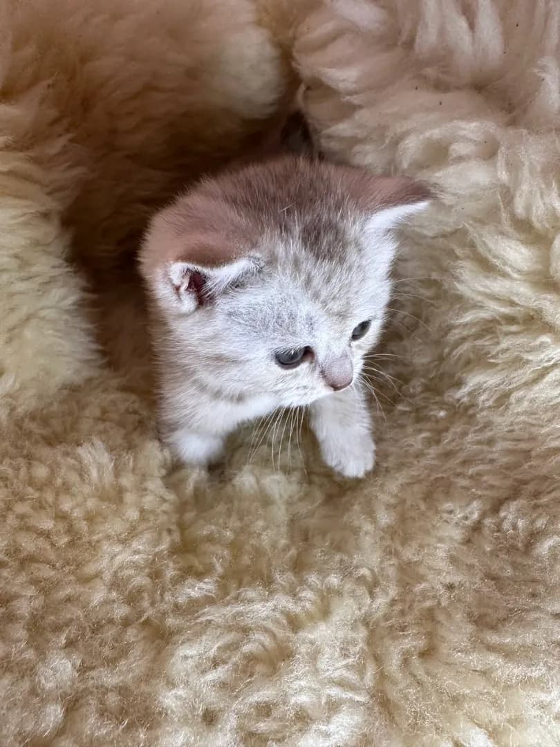 carousel-image-mobile-9