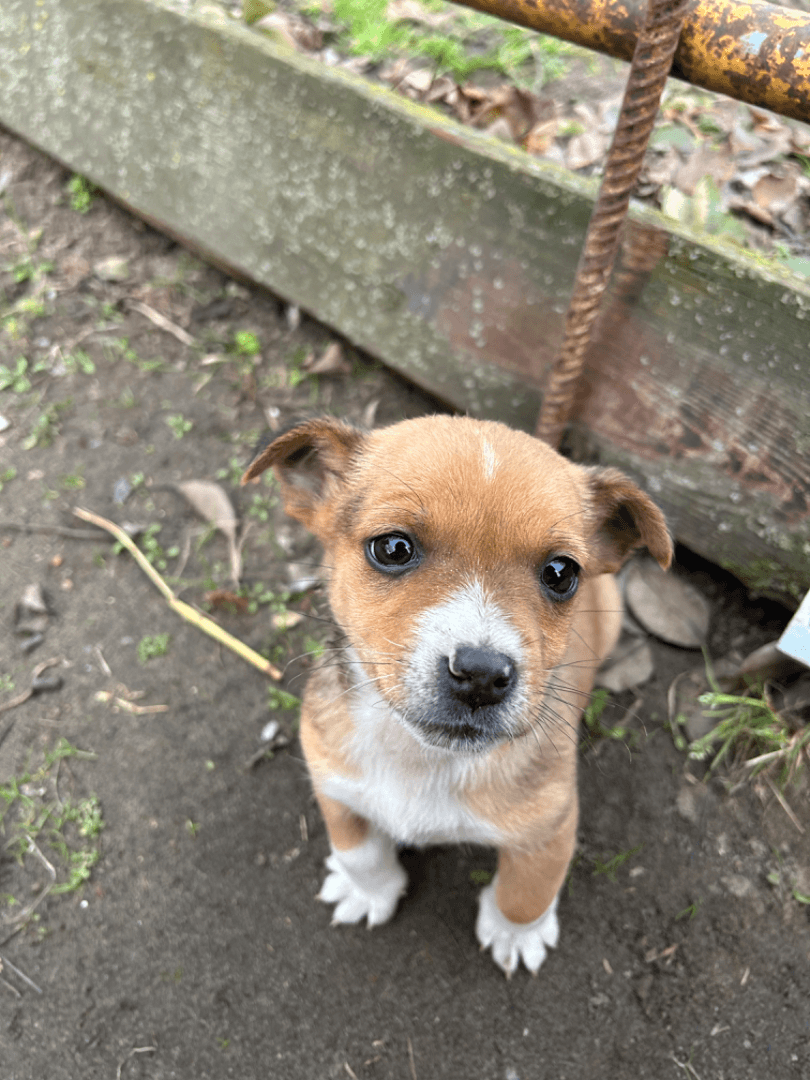 carousel-image-mobile-1