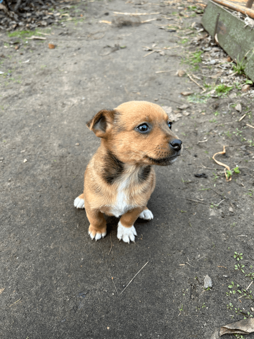 carousel-image-mobile-2