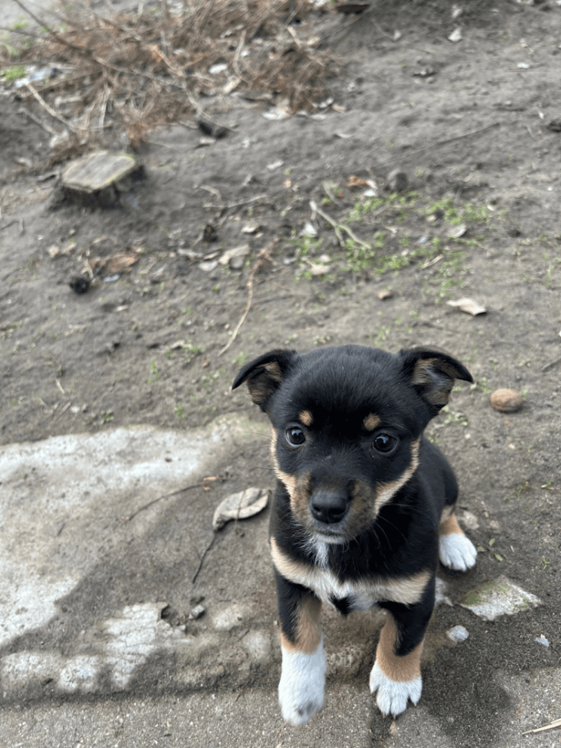 carousel-image-mobile-3