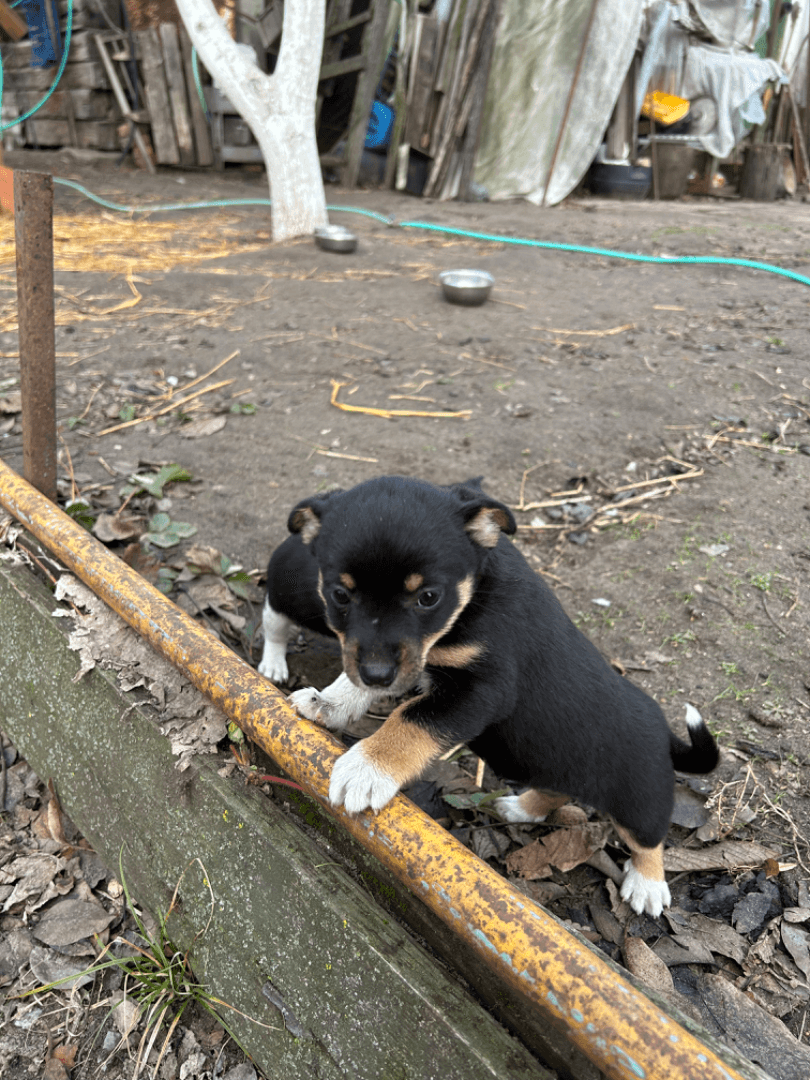 carousel-image-mobile-4