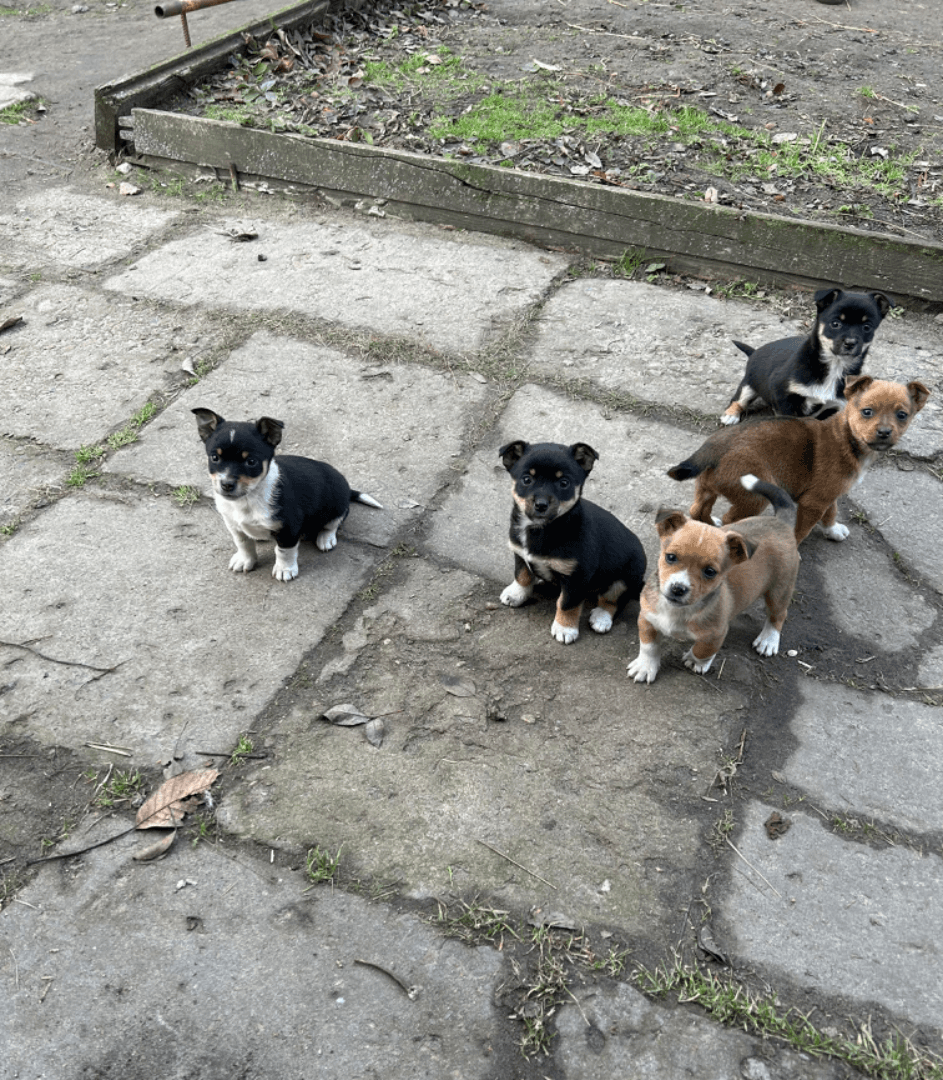 carousel-image-mobile-5