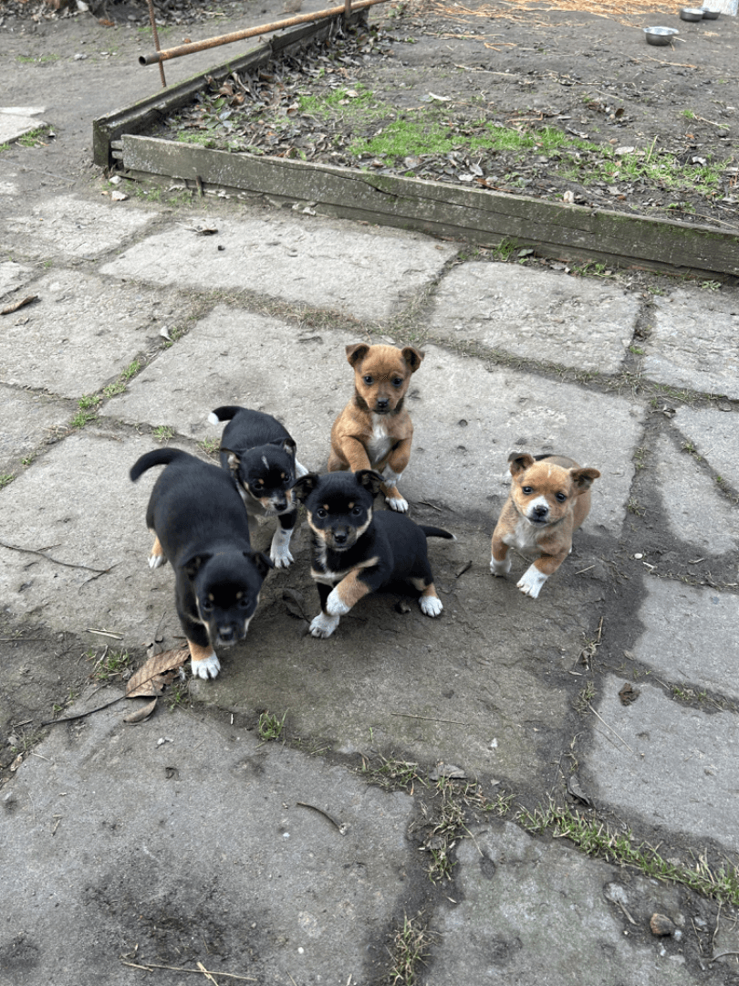 carousel-image-mobile-6