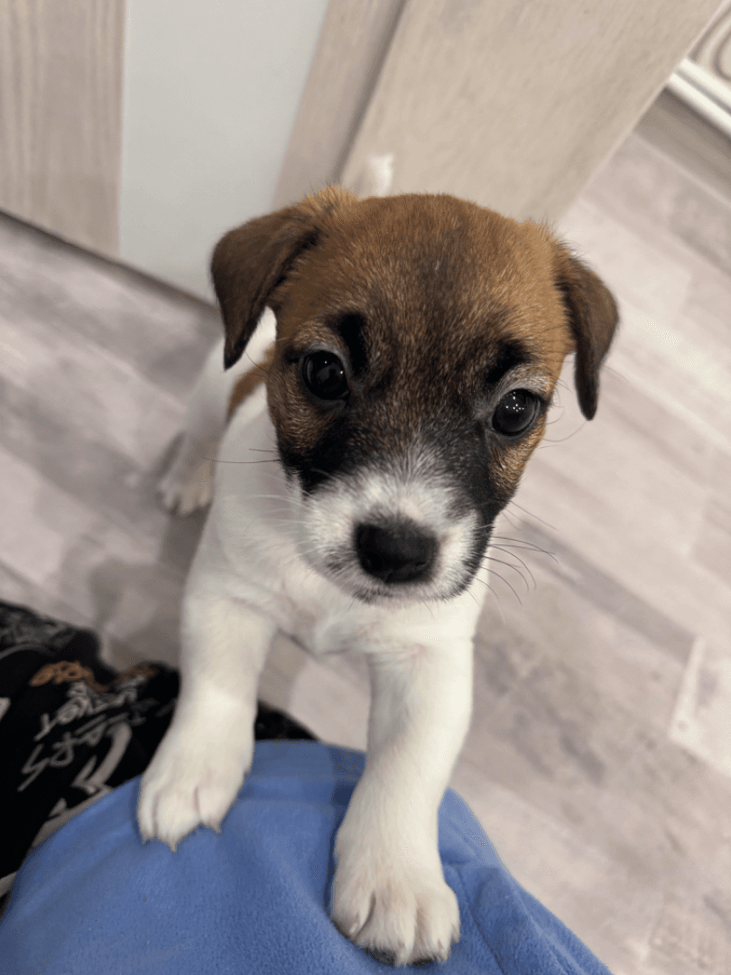 carousel-image-mobile-1