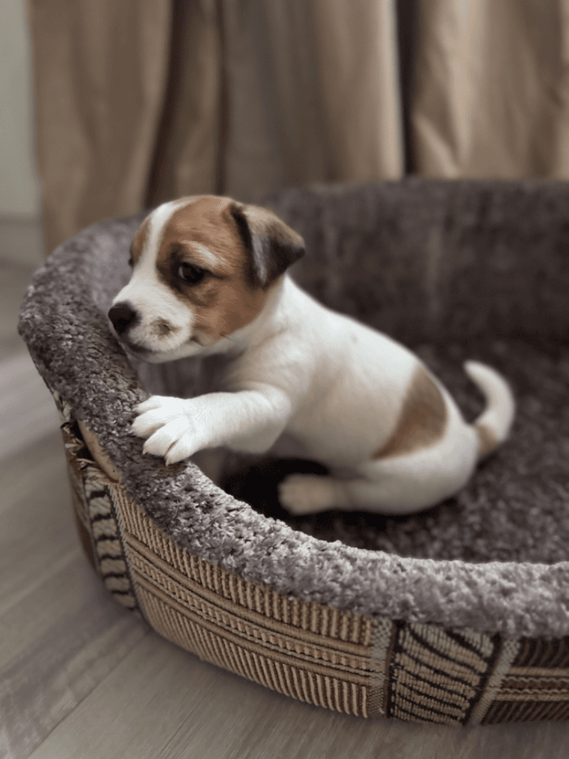 carousel-image-mobile-2