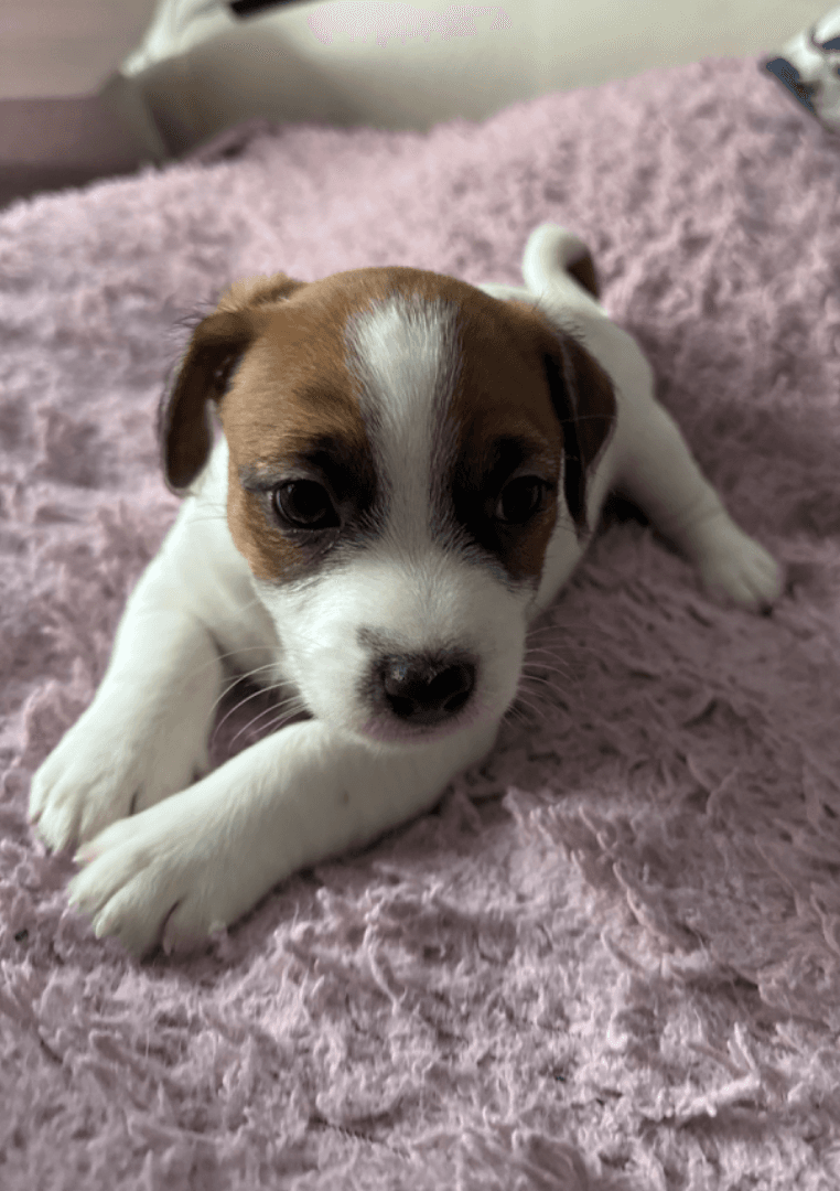 carousel-image-mobile-4