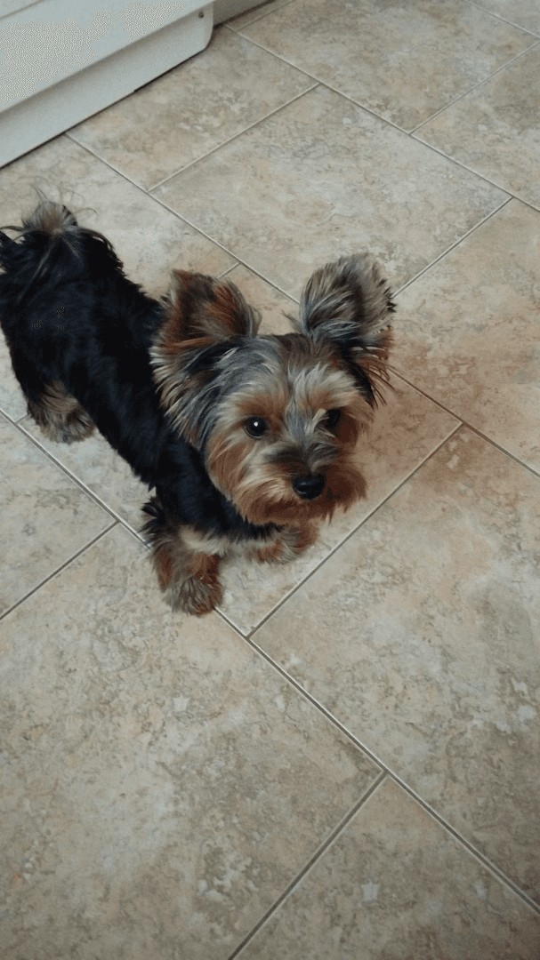 carousel-image-mobile-1