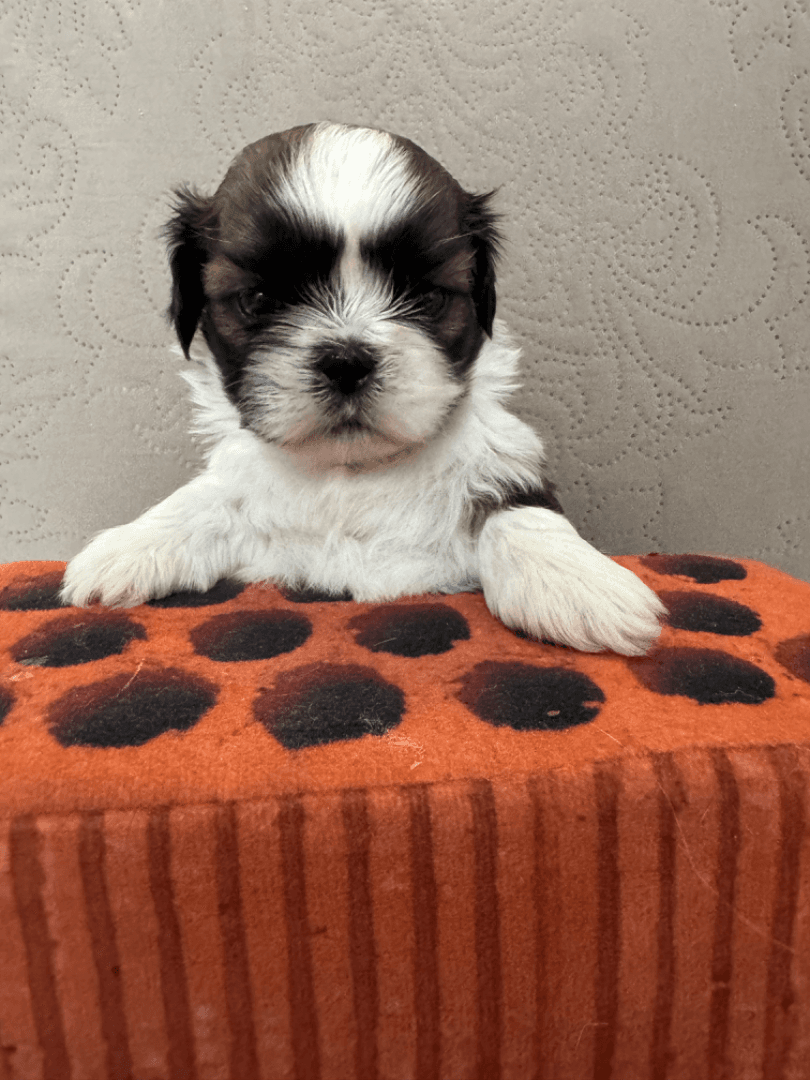 carousel-image-mobile-3