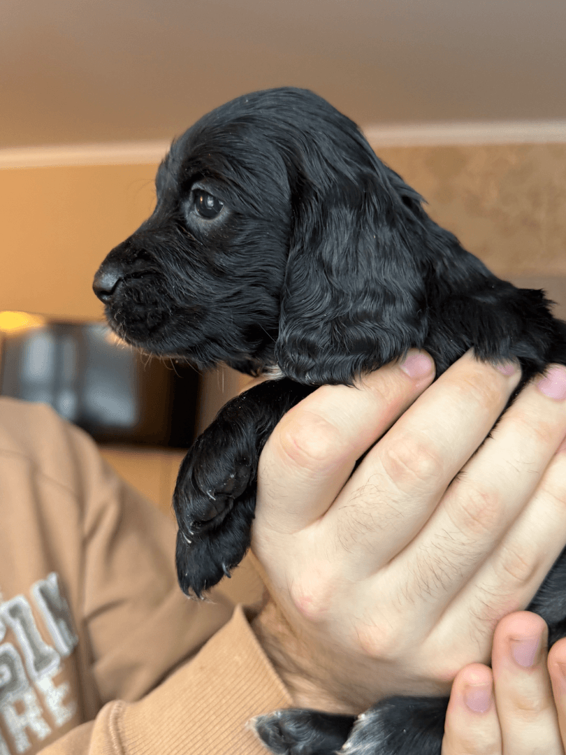 carousel-image-mobile-1