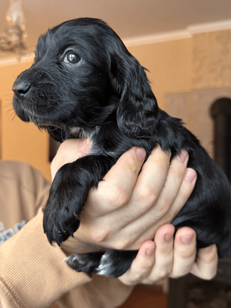 carousel-image-mobile-2