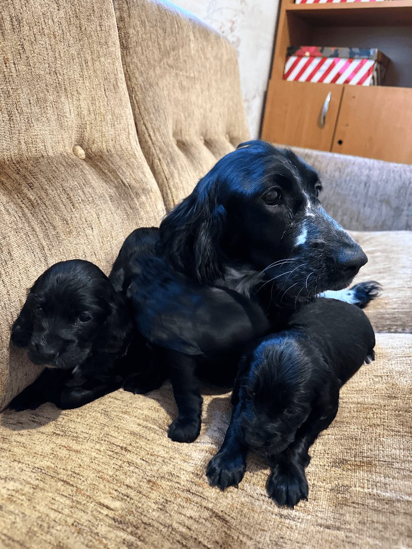 carousel-image-mobile-3